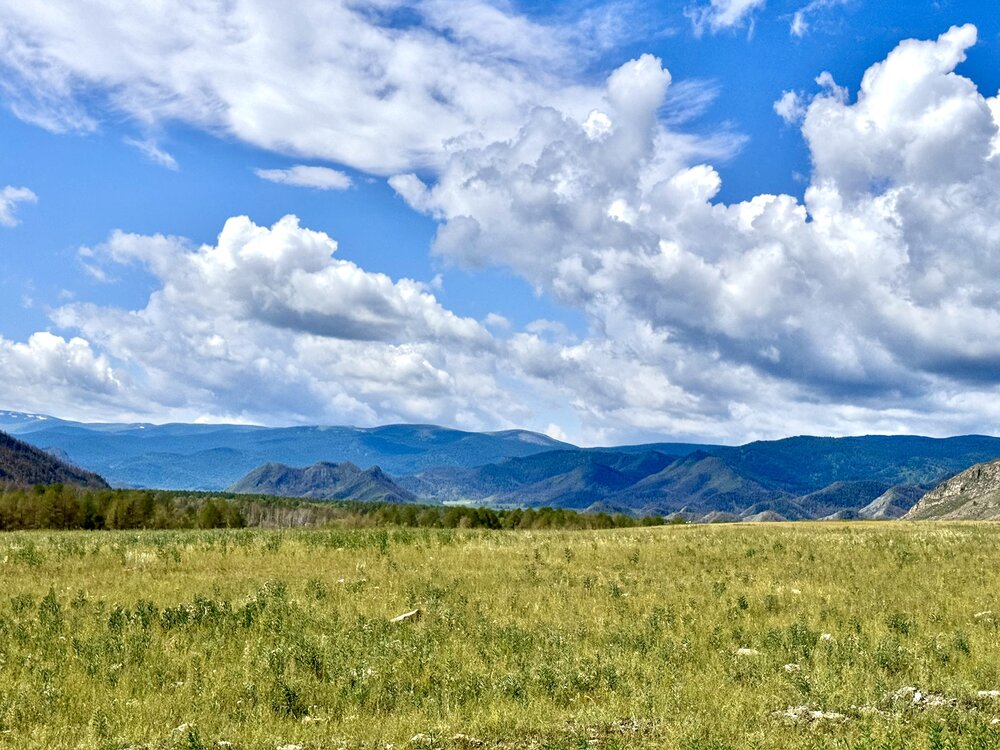 Photograph by Галина Шиманцова