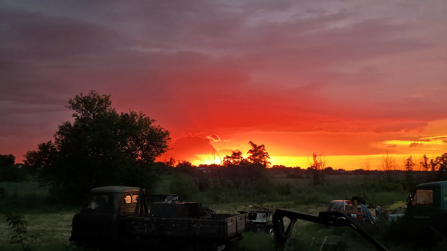 Photo #13773261
