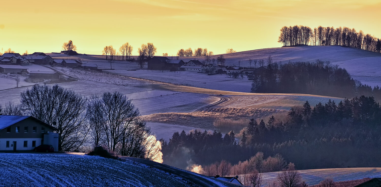 Photo #13773325
