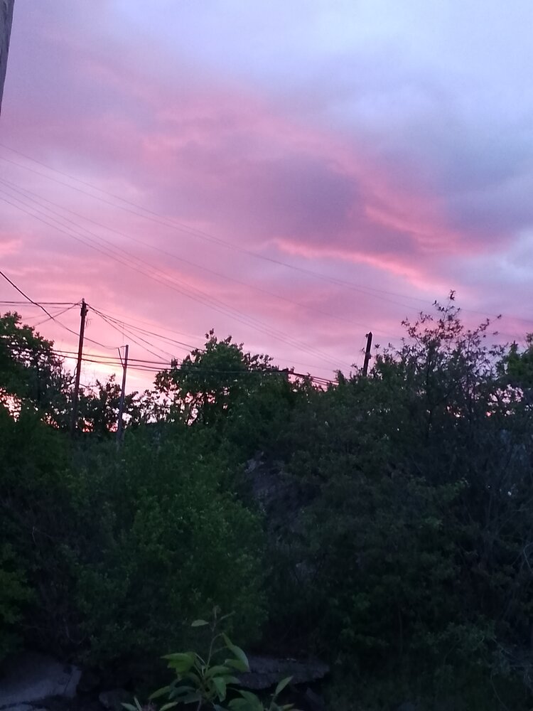 Photo #13773398