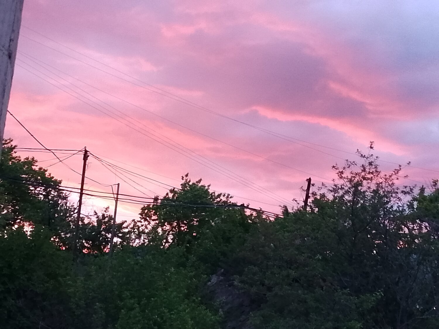 Photo #13773399