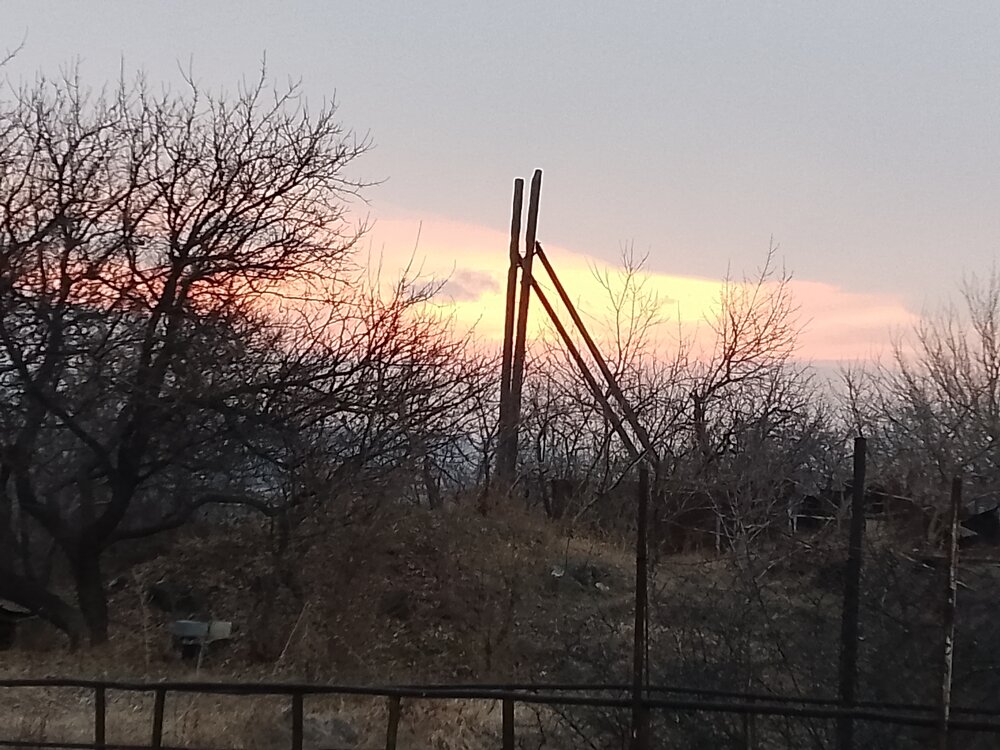 Photo #13773417