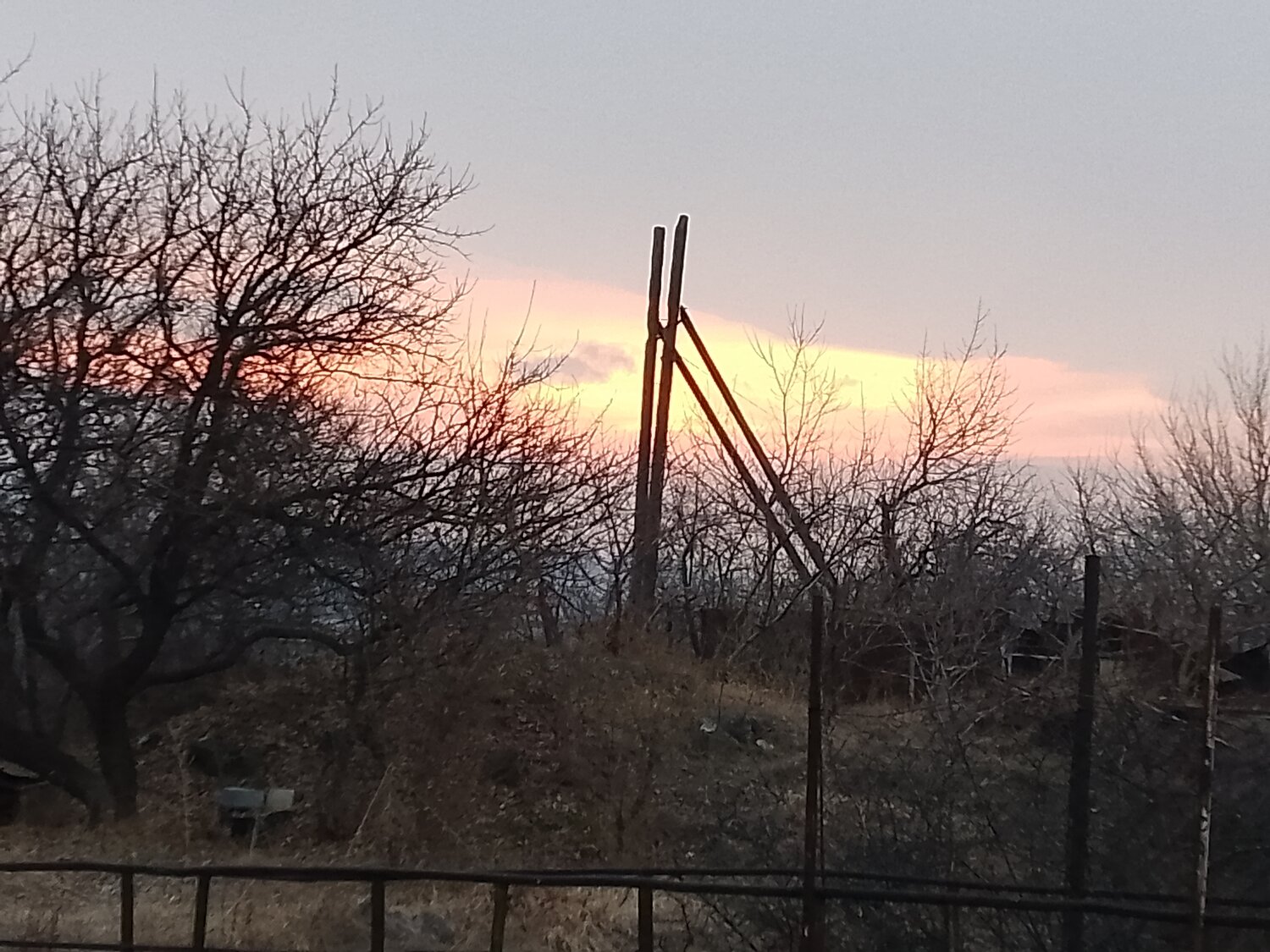 Photo #13773417