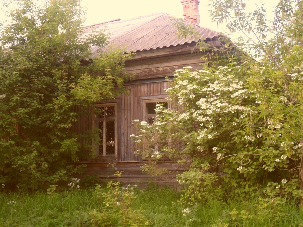 Photograph by Ксения Звонникова