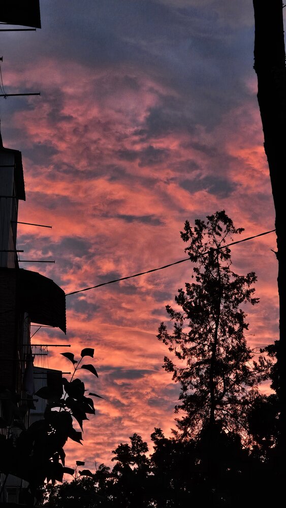 Photograph by Alexandra Pîntea