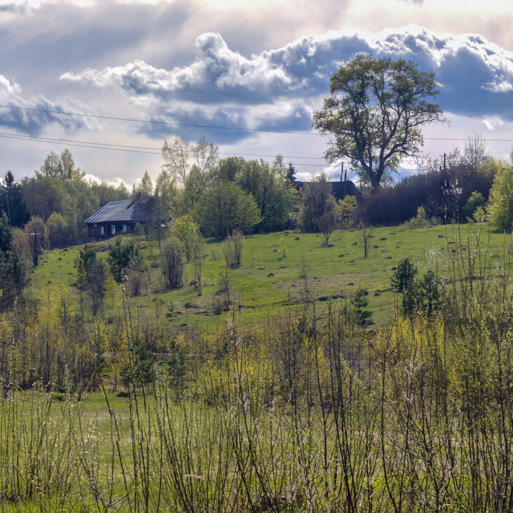 Photo #13773559