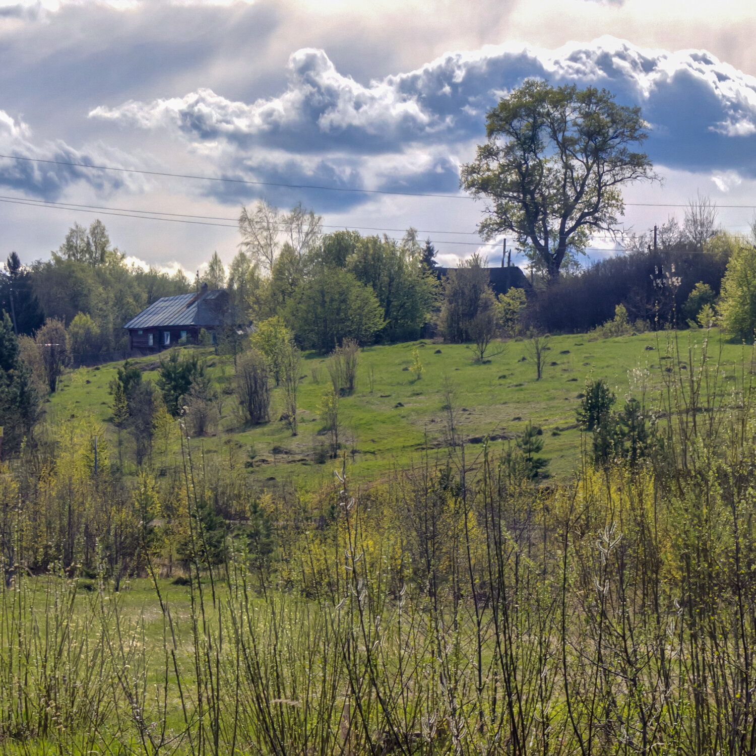 Photo #13773559