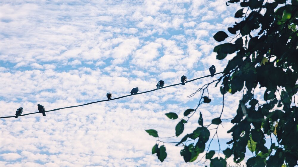 Photograph by Ирина Багдасарова