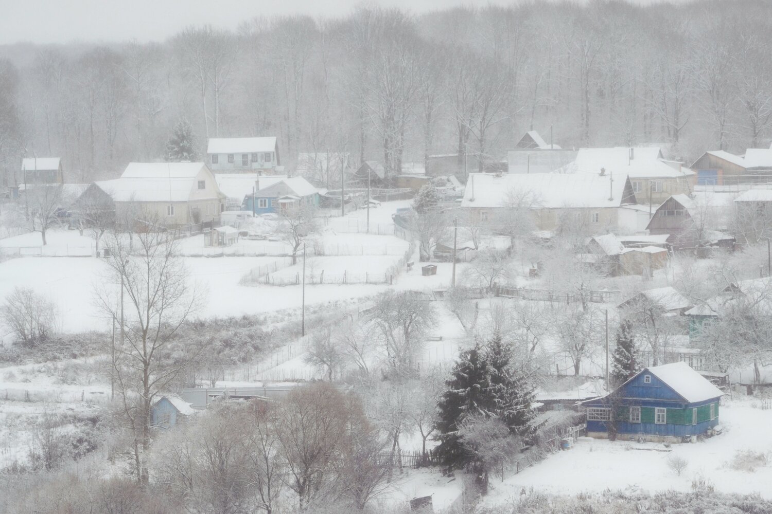 Photo #13773576