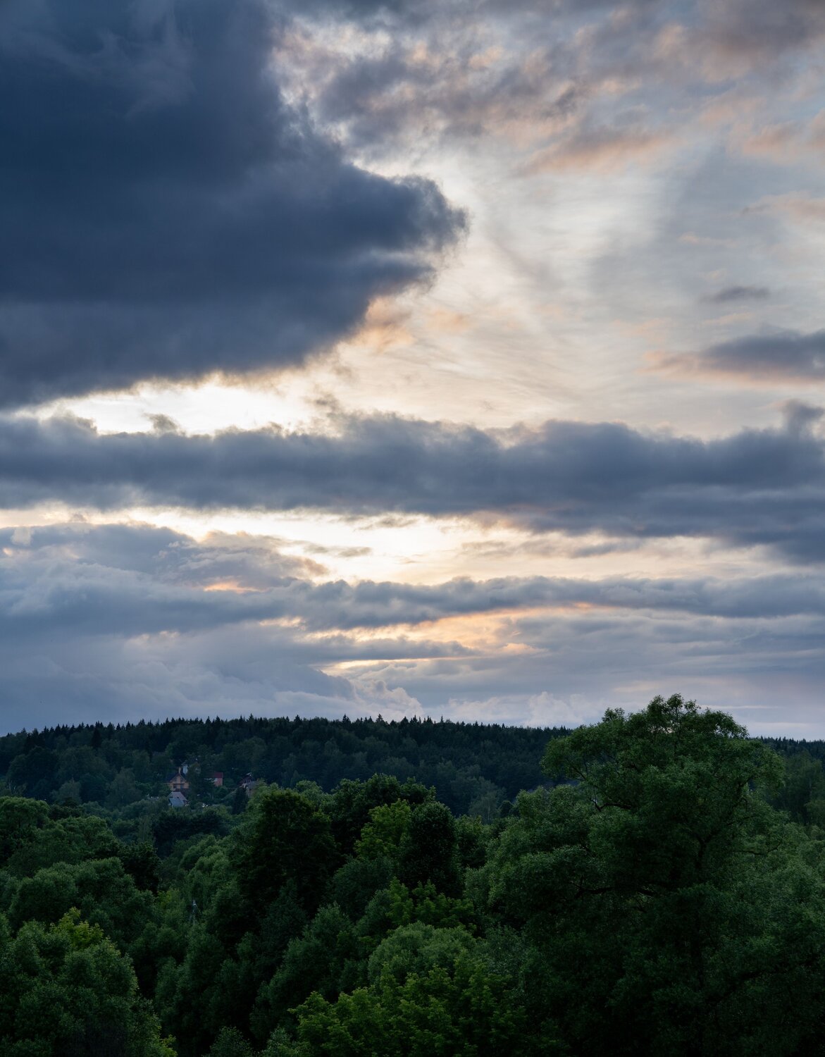 Photo #13773577