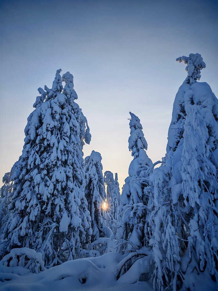 Photograph by Наталья Половая