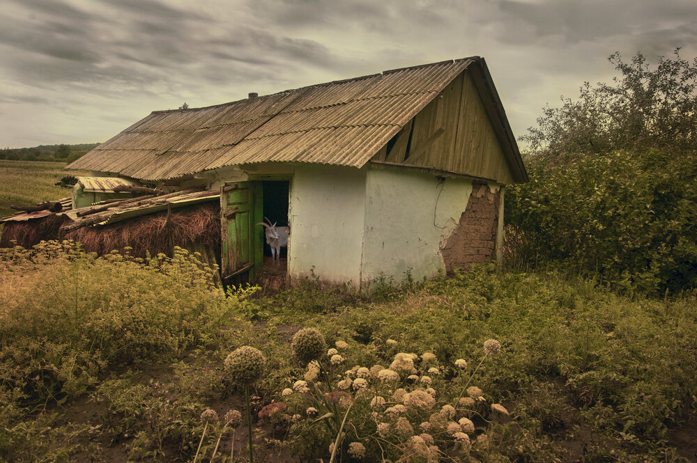 Фотография автора MVO (Марк Орлов)