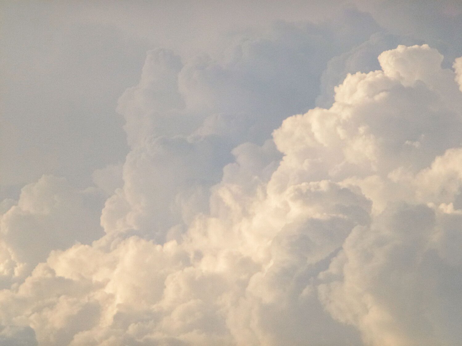Photo #13773627