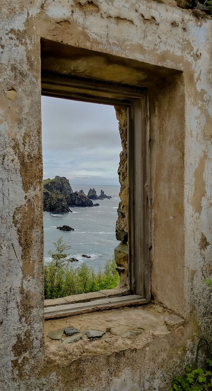 Photo #13773640
