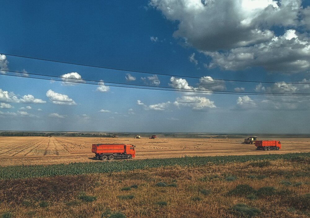 Photograph by Ольга Кунакова