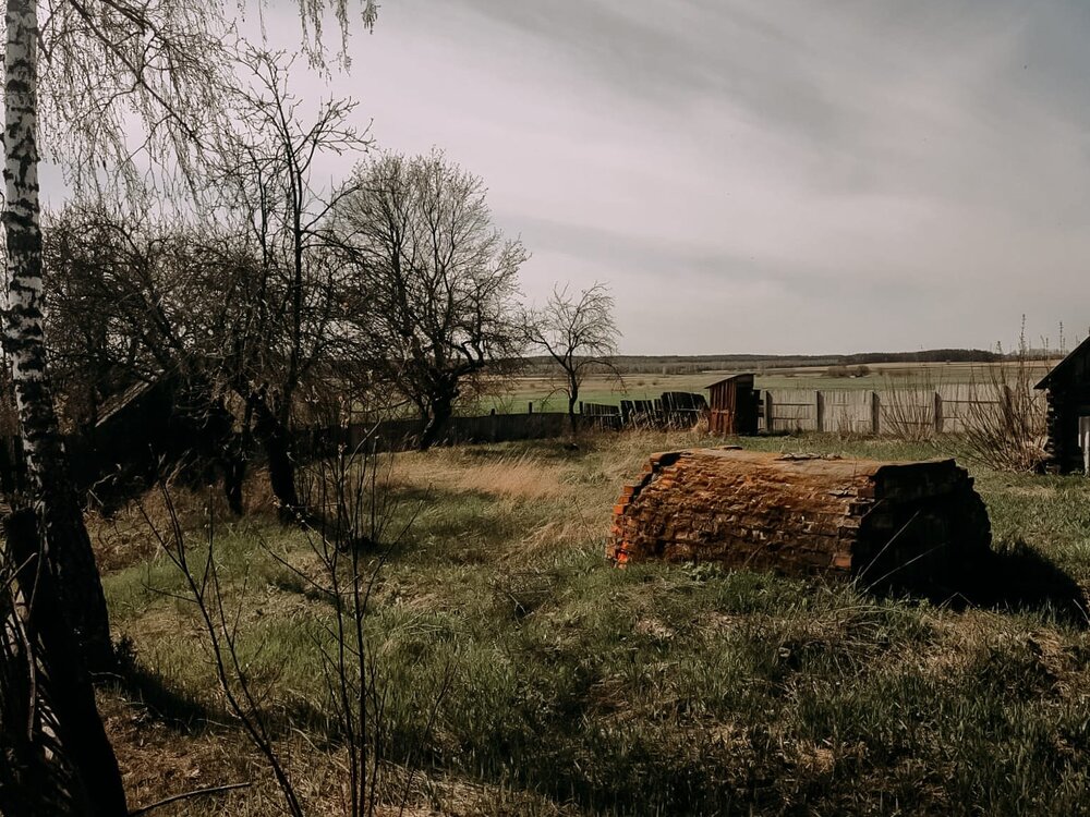 Фотография автора Юлия Лизунова