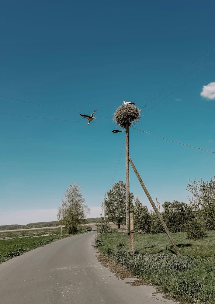 Фотография автора Юлия Лизунова