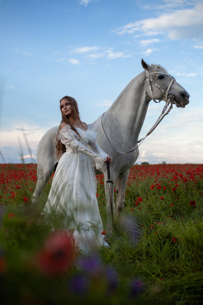 Photo #13773675