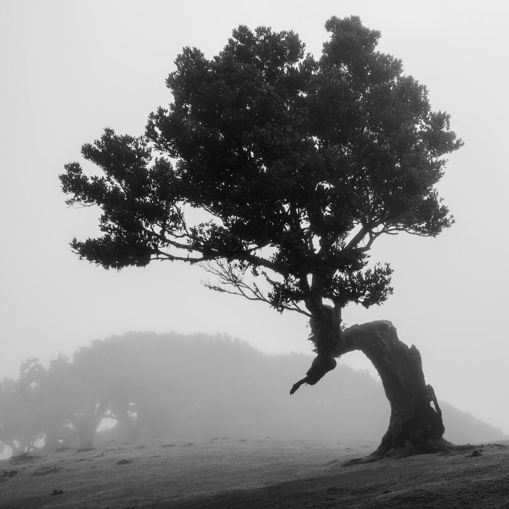 Photograph by Martin San Juan