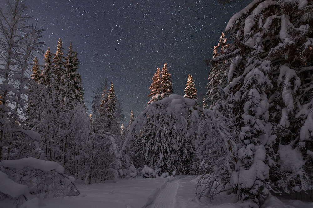 Photograph by Алексей Турчин