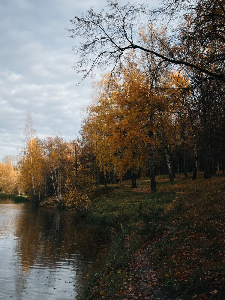 Фотография автора Регина Габдулхаева