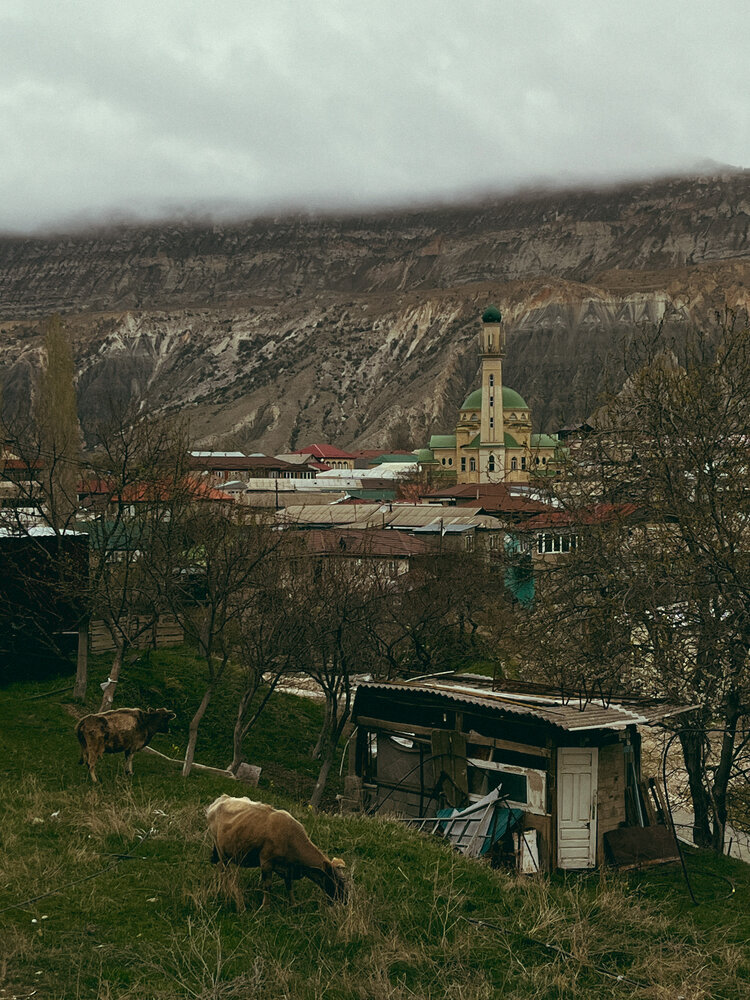 Фотография автора Регина Габдулхаева