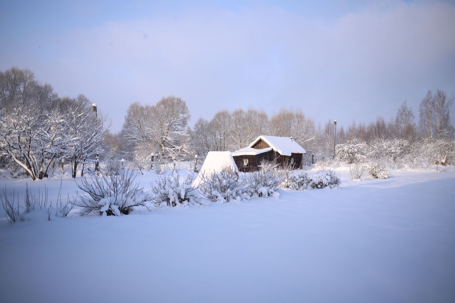 Photo #13773757