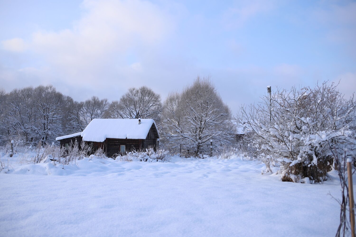 Photo #13773759