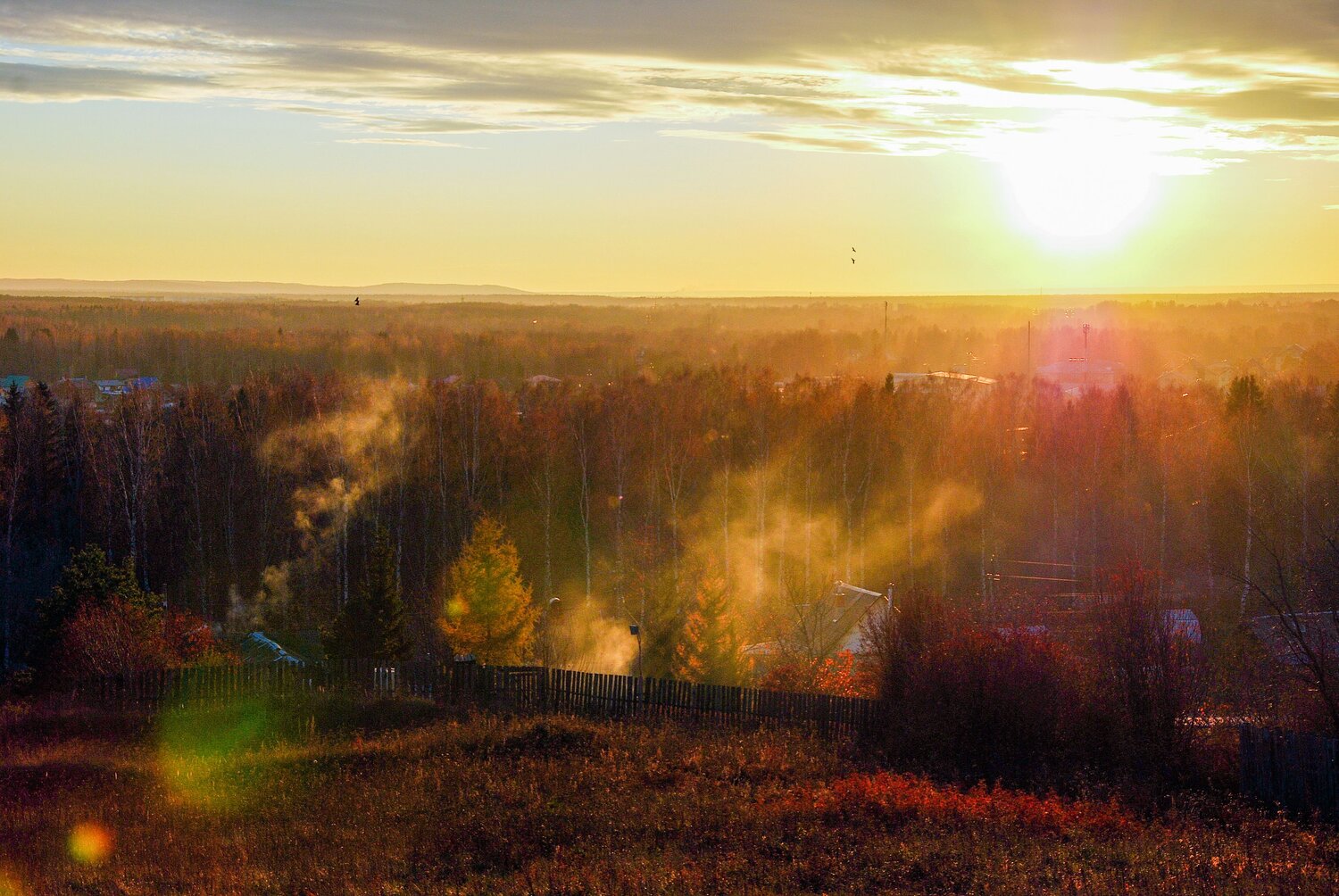 Photo #13773796