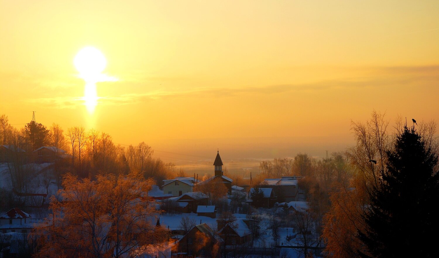 Photo #13773818