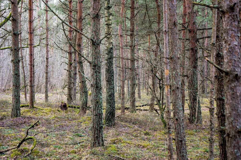 Photograph by Igors Rostikovs