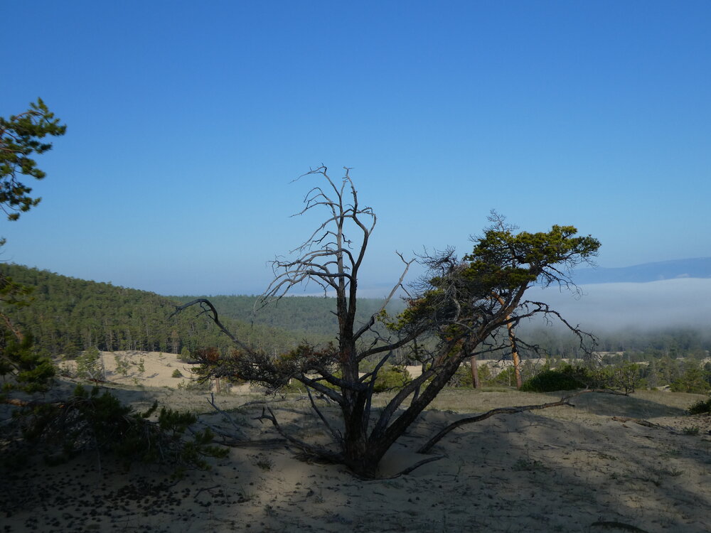Photo #13773868