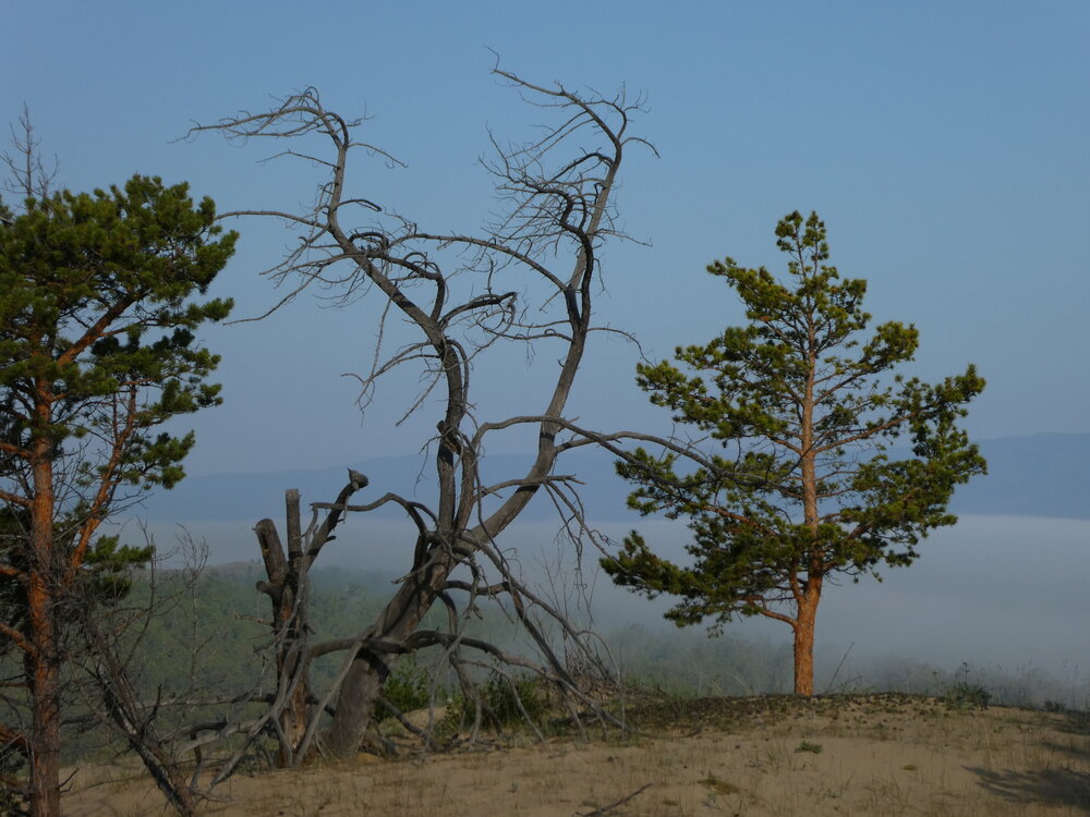 Photo #13773869