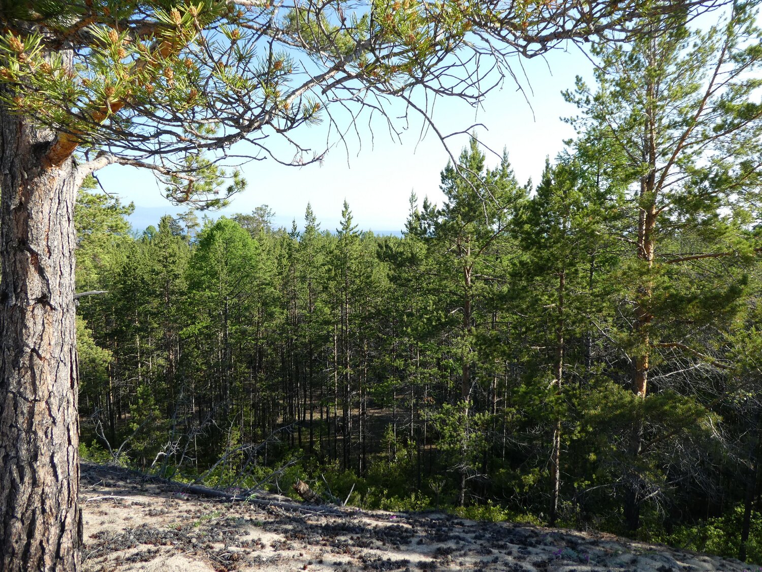 Photo #13773870