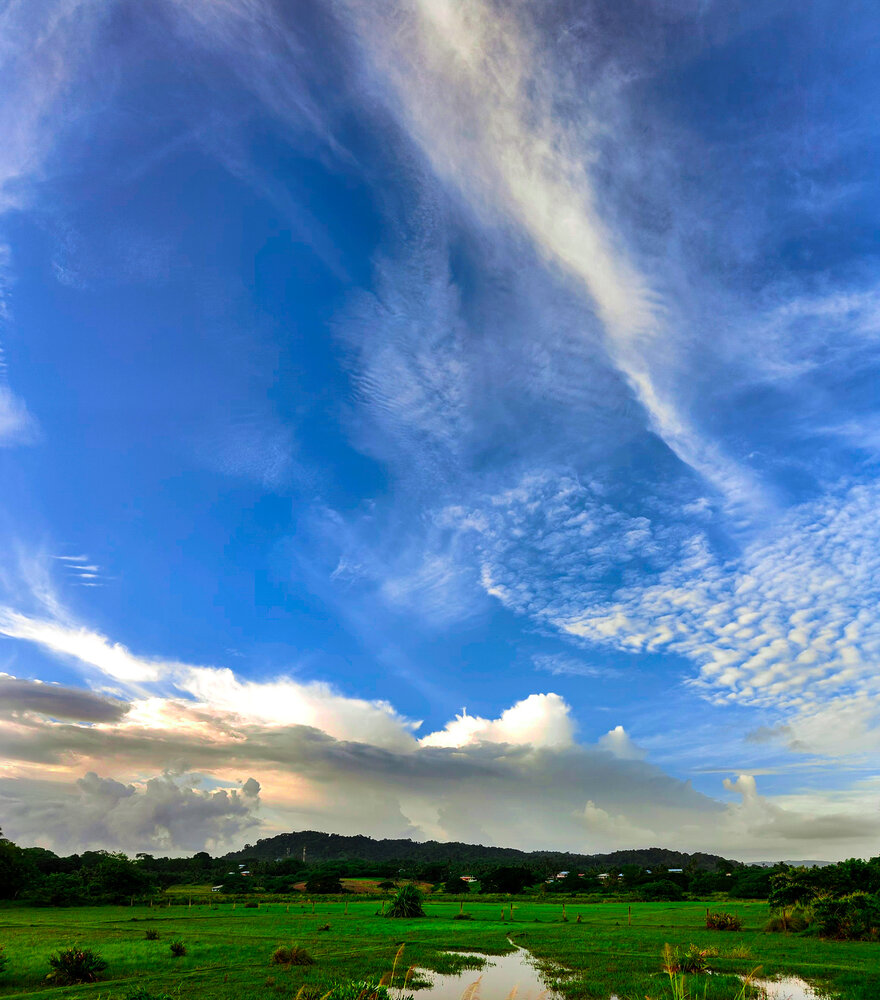 Photograph by Mohd Shoaib Hassan