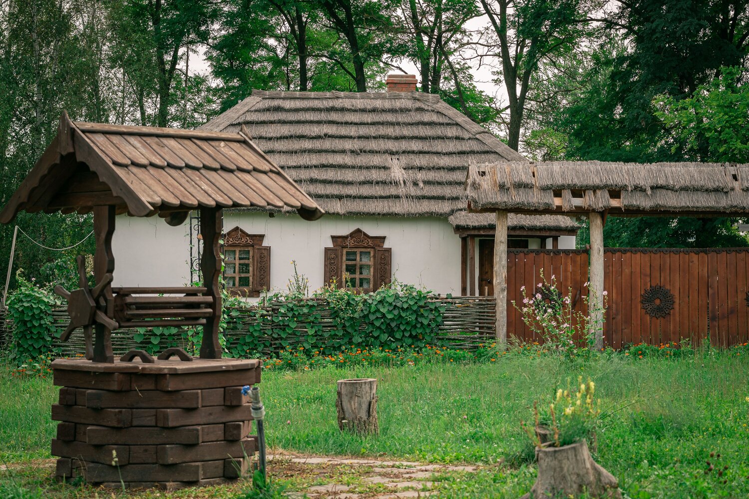 Photo #13773923
