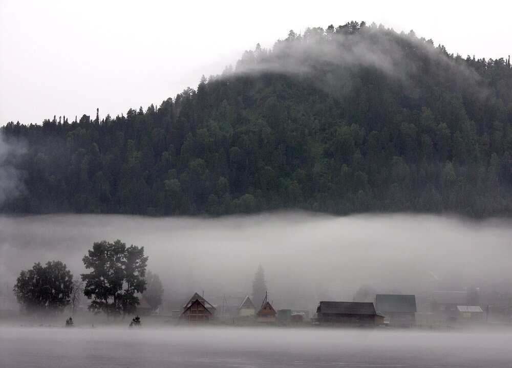 Photo #13773934