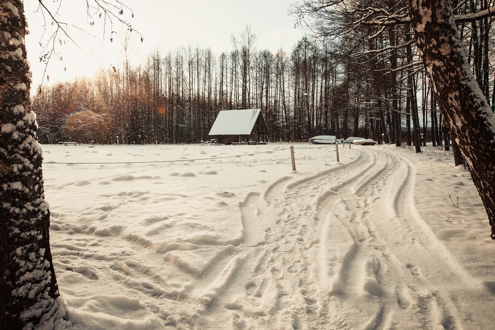 Photo #13773966