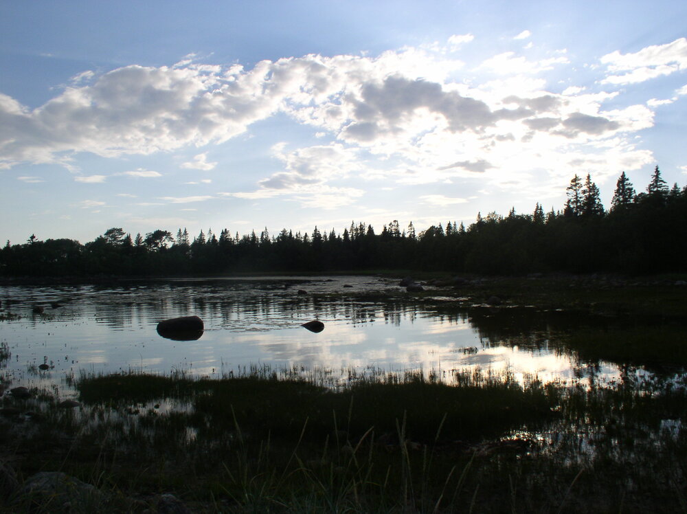 Photograph by Алексей Банных