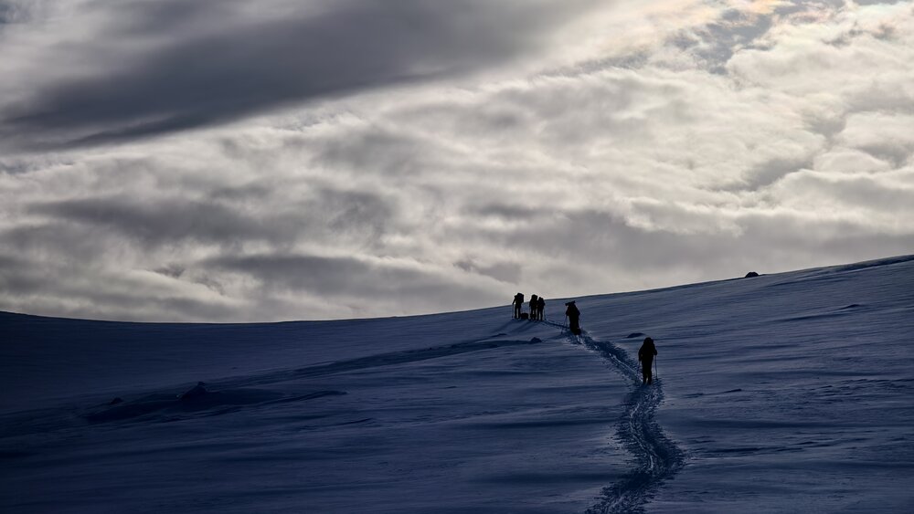 Photograph by Александр Шворнев
