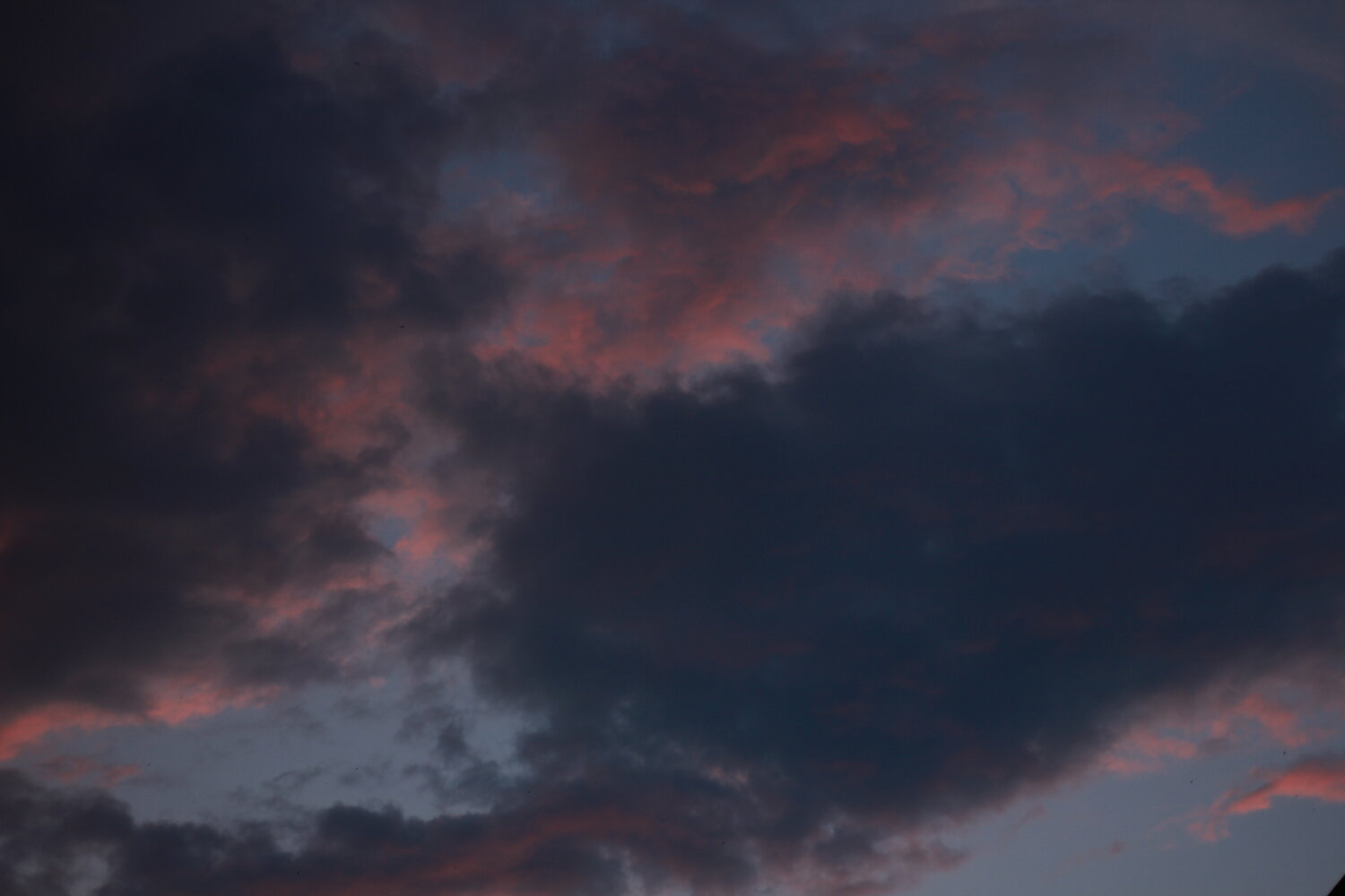 Photo #13774193