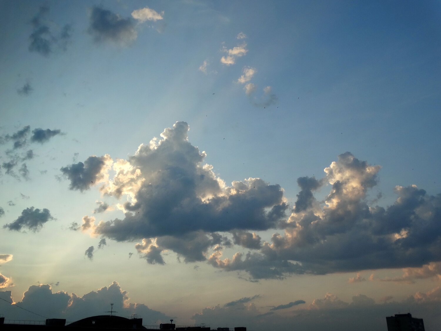 Photo #13774194