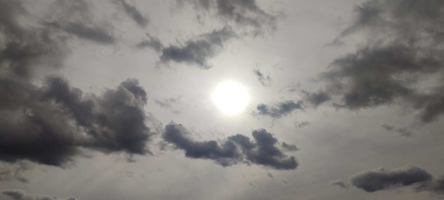 Photo #13774202