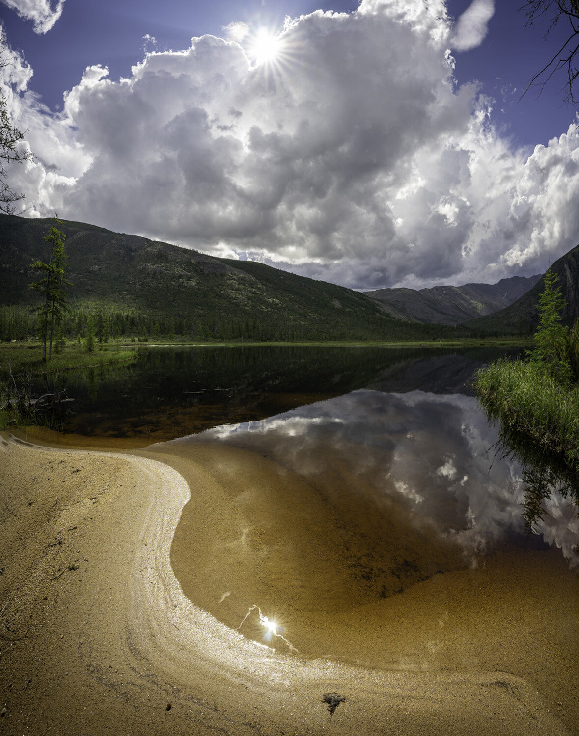 Photo #13774208
