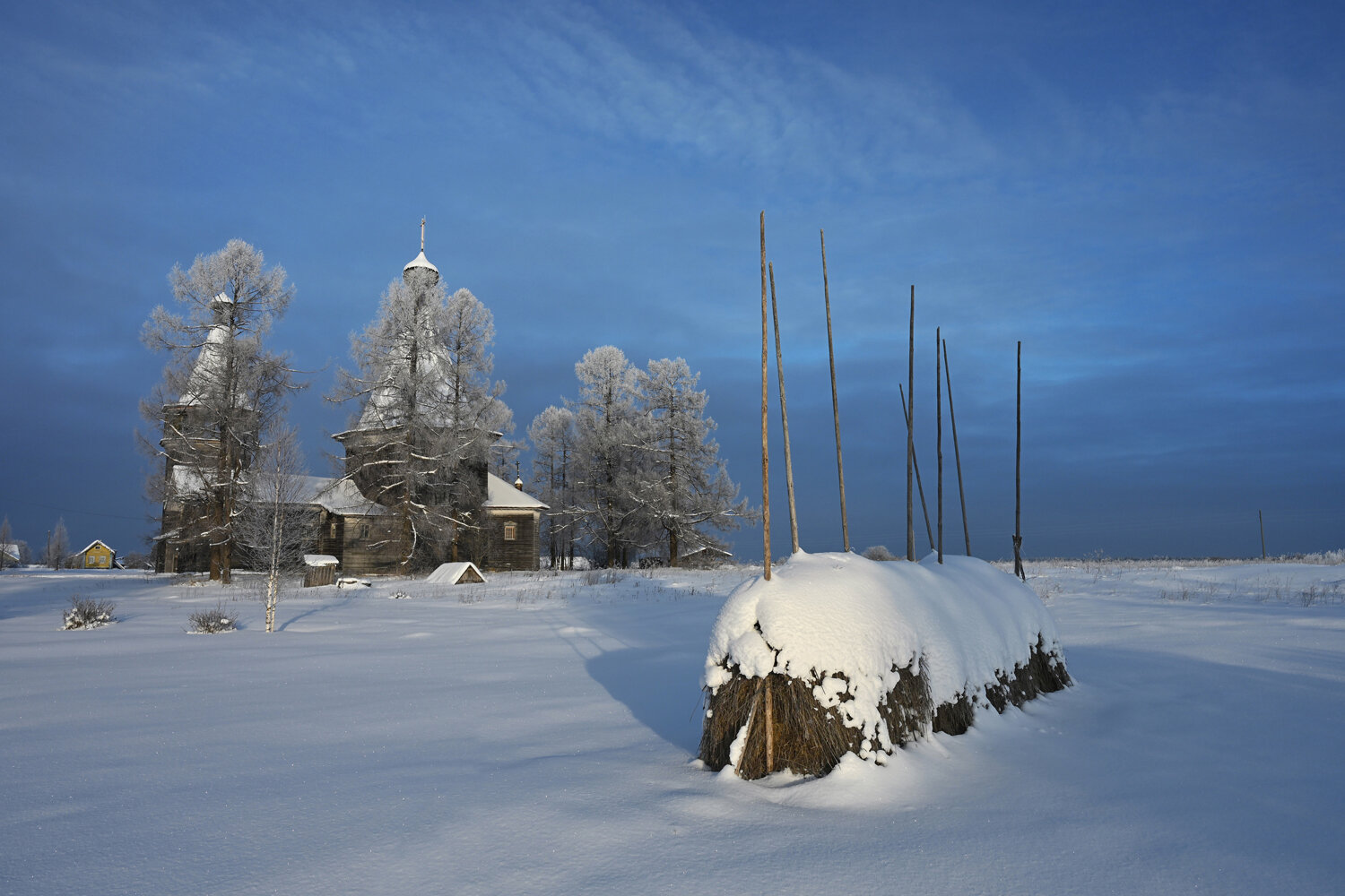 Photo #13774210