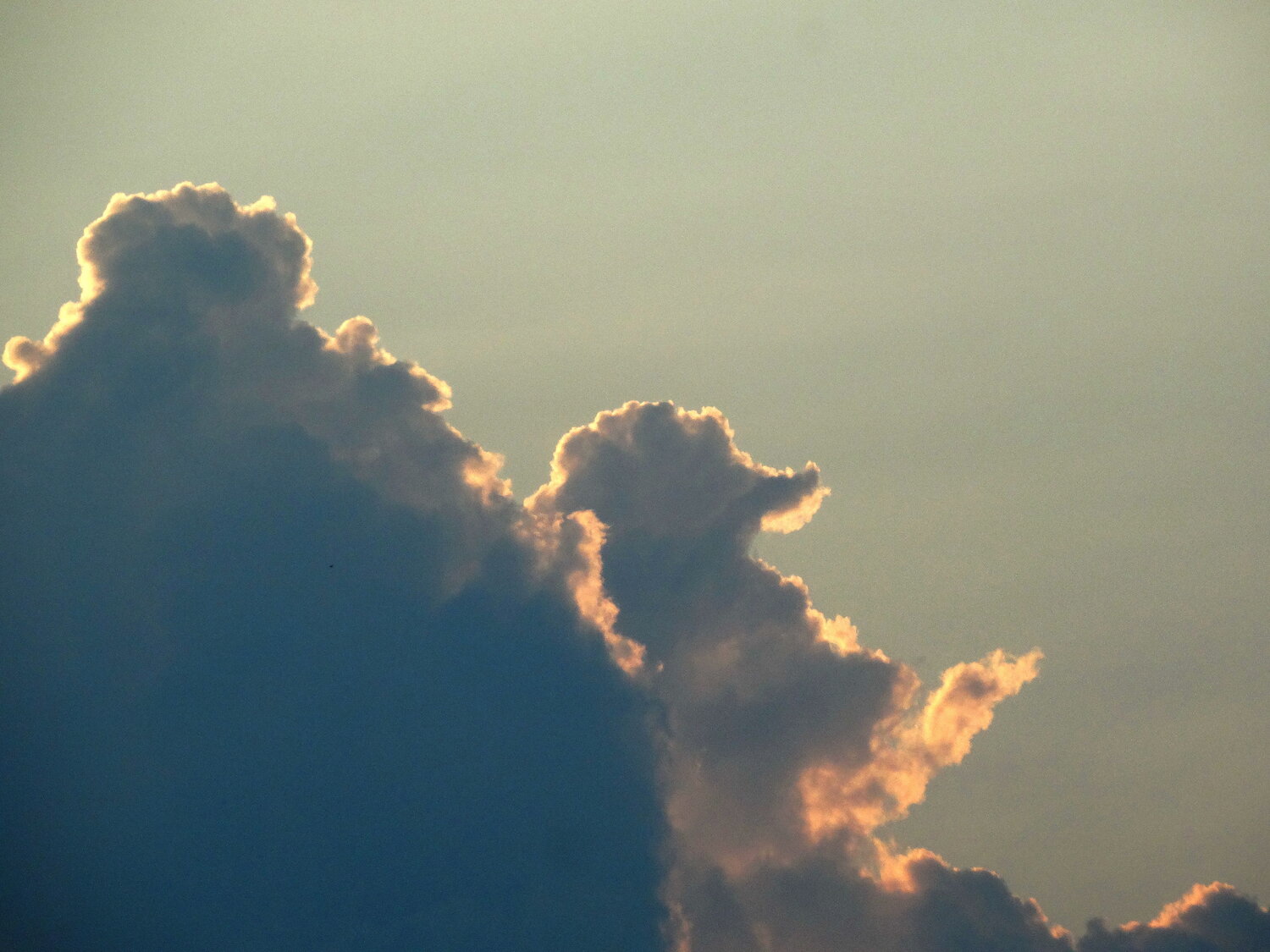 Photo #13774212
