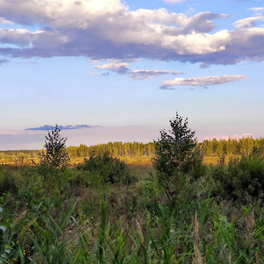 Photograph by Анна Андреевна