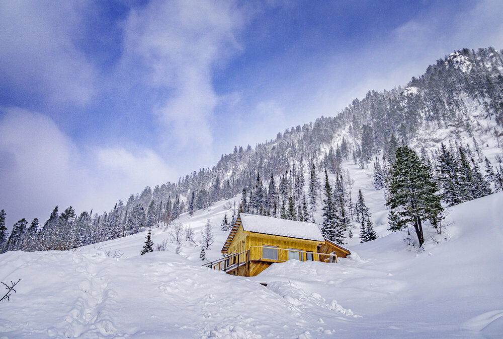 Photo #13774275