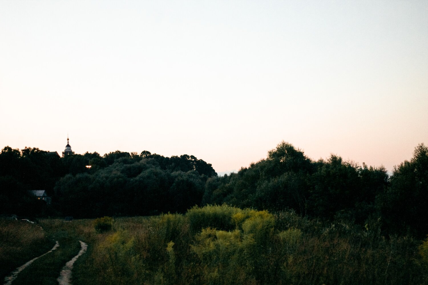 Photo #13774294