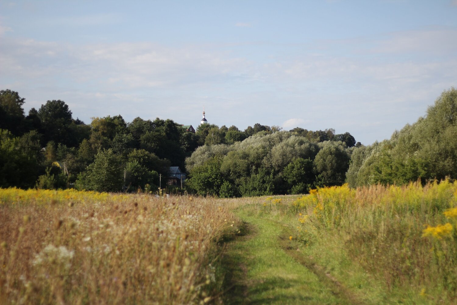 Photo #13774299